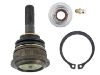 Ball Joint:6W1Z3085A
