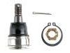 Joint de suspension Ball Joint:54500-F4600#