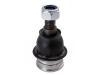Ball Joint:51350-TF0-030###